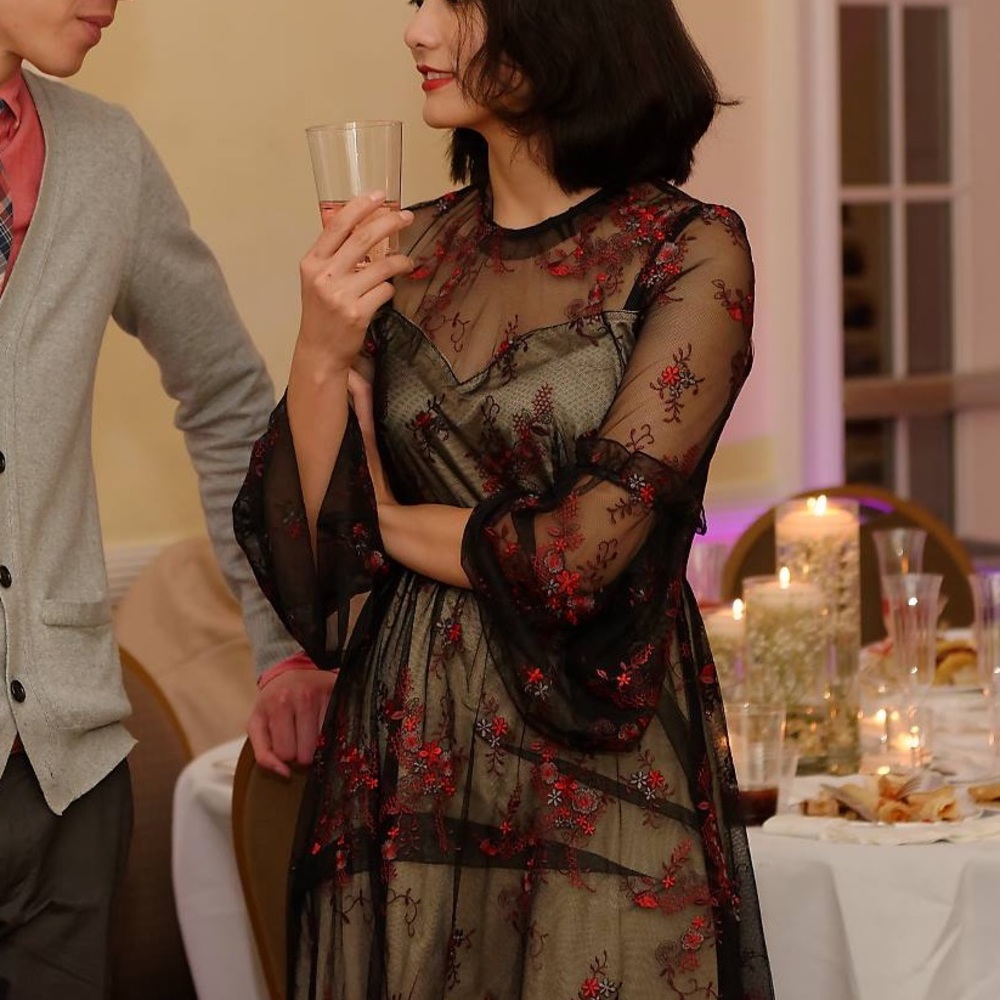Lace and Embroidery Dress